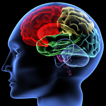Brain Training Can Improve Your Brain Power